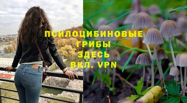 амфетамин Алексеевка