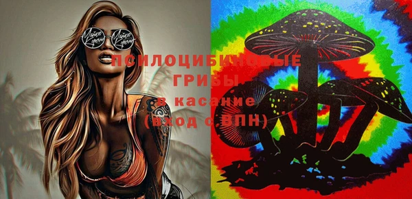 прущая мука Алзамай