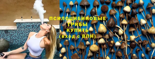 МДПВ Алексин