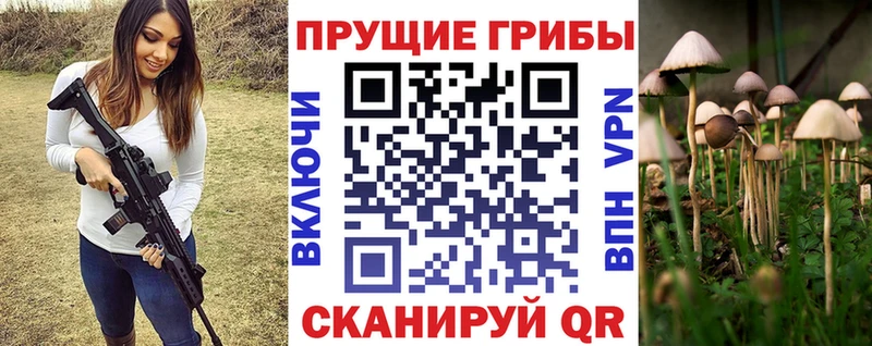 Галлюциногенные грибы ЛСД  где продают   гидра маркетплейс  Поронайск 